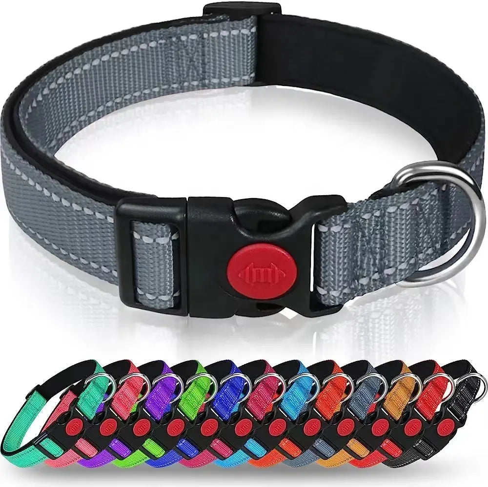 Adjustable Reflective Webbing Collar With Leash For Dogs And Cats - Shaking Tails